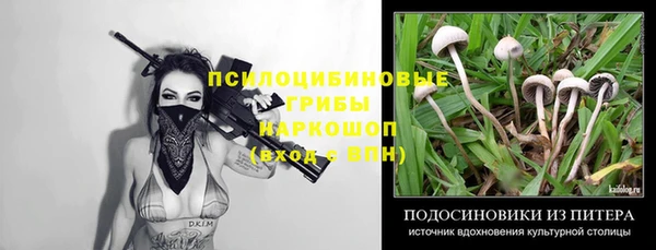 молекула духа Алексеевка
