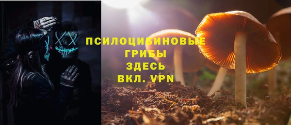 молекула духа Алексеевка
