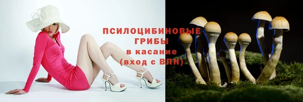 таблы Алзамай
