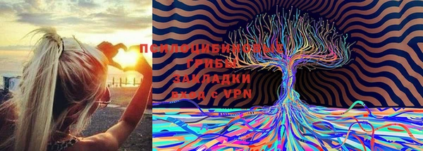 таблы Алзамай