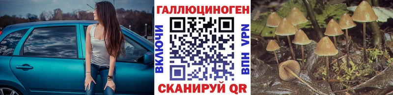 Псилоцибиновые грибы Psilocybe  гидра ТОР  Кропоткин 