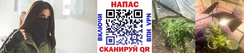 Марихуана OG Kush  где продают   сайты даркнета официальный сайт  Кропоткин 